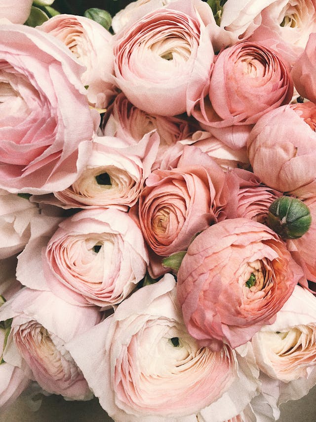 Benefits of Dance Flowers